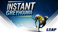 Instant Greyhounds